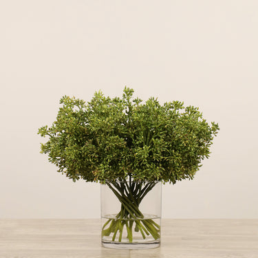Floral Arrangement-Sedum Arrangement in Glass Vase-Bloomr
