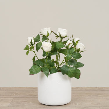 -Artificial Cabbage Rose Plant-Bloomr