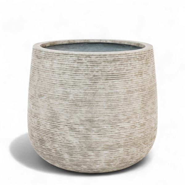 Medium Round Ficonstone Tree Pot