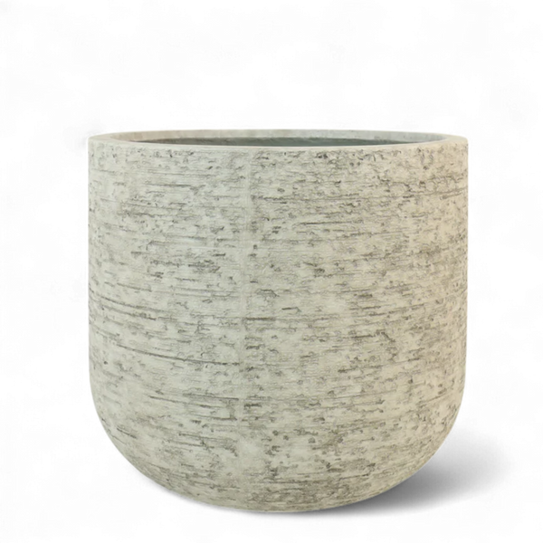 Large Round Ficonstone Tree Pot