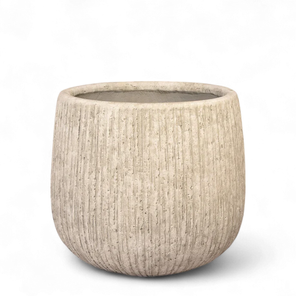 Round Ficonstone Tree Pot - Large