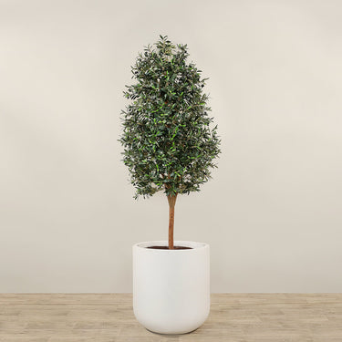 Trees-Artificial Olive Tree 210cm-Bloomr