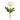 Flowers-Anemone-Bloomr