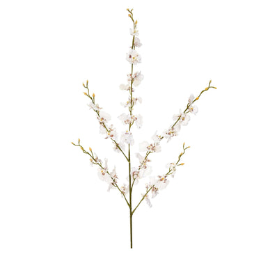 Flowers-Dancing Orchid Stem-Bloomr