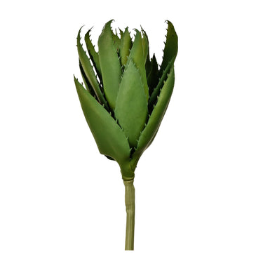 Plants-Agave-Bloomr