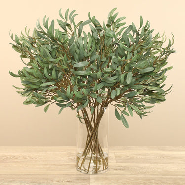 Plants-Eucalyptus Spray Arrangement in Glass Vase-Bloomr