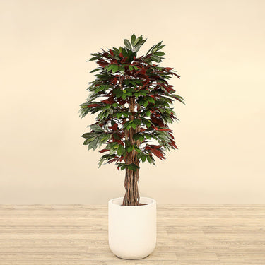 Trees-Artificial Capensia fig Tree 150cm-Bloomr