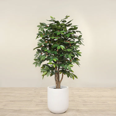 Trees-Artificial Coffee Tree 150cm-Bloomr