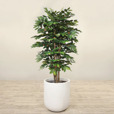 Trees-Artificial Coffee Tree 180cm-Bloomr