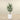 Trees-Artificial Ficus Tree 120cm-Bloomr