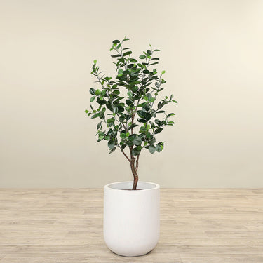 Trees-Artificial Ficus Tree 120cm-Bloomr
