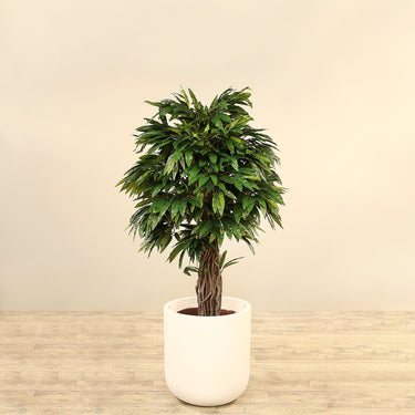 Trees-Artificial Mango Tree 150cm-Bloomr