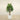 Trees-Artificial Plumeria Tree 150cm-Bloomr