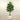 Trees-Artificial Plumeria Tree 180cm-Bloomr