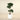 Trees-Artificial Podocarpus Tree 120cm-Bloomr