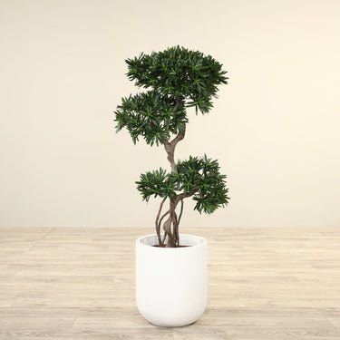 Trees-Artificial Podocarpus Tree 120cm-Bloomr