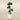 Trees-Artificial Podocarpus Tree 150cm-Bloomr