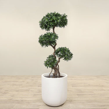 Trees-Artificial Podocarpus Tree 150cm-Bloomr