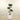 Trees-Artificial Podocarpus Tree 150cm-Bloomr