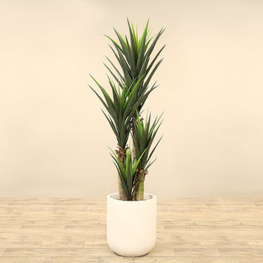 Trees-Artificial Yucca Plant 165cm-Bloomr