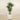 Trees-Artificial Yucca Plant 170cm-Bloomr