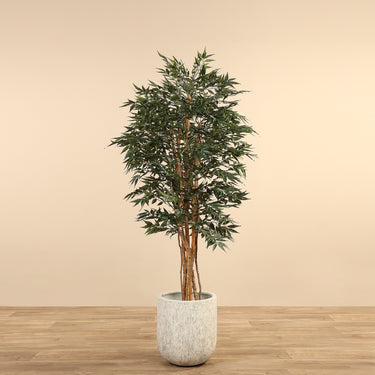 Trees-Artificial Shirakashi Tree <br>180cm-Bloomr