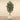 Trees-Artificial Shirakashi Tree <br>210cm-Bloomr