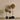 Accessories-Acanthosphere Decoration-Bloomr