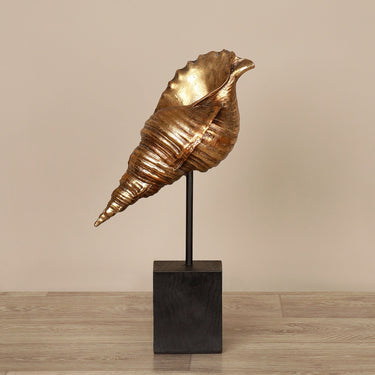 Accessories-Conch-Bloomr