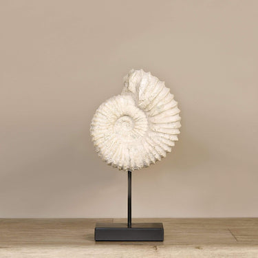 Accessories-Fossil on Metal-Bloomr