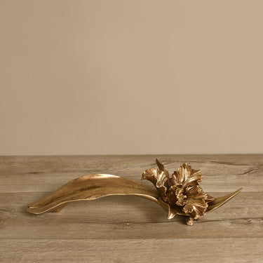 Accessories-Orchid-Bloomr