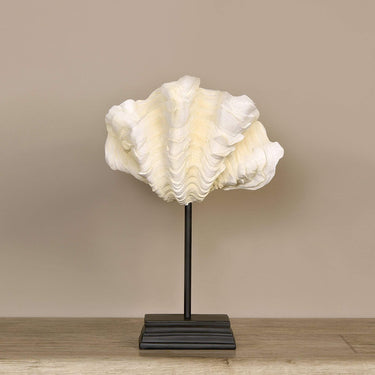 Accessories-Shell on Metal-Bloomr