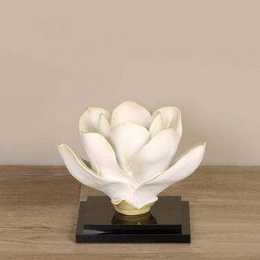 Accessories-Magnolia with Acrylic-Bloomr