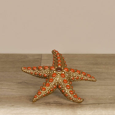 Accessories-Starfish-Bloomr