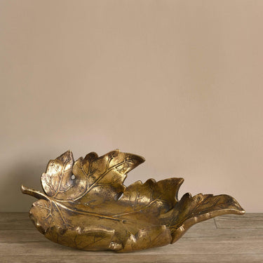 Accessories-Tray-Bloomr