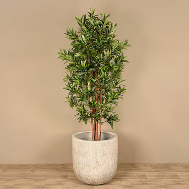 '-Artificial Draecena Tree 180cm-Bloomr