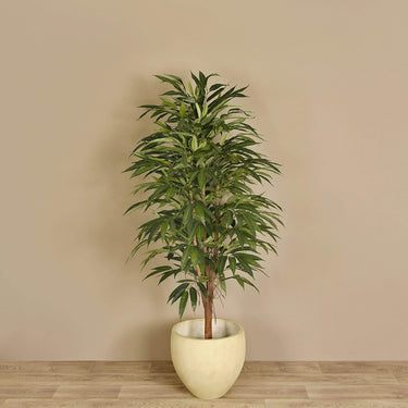 '-Artificial Longifolia Tree 150cm-Bloomr