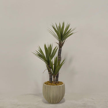 Desginers Collection-Artificial Yucca Plant With Pot-Bloomr