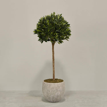 Desginers Collection-Artificial Laurel Tree with Pot-Bloomr