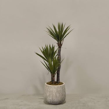 Desginers Collection-Artificial Yucca Plant With Pot-Bloomr