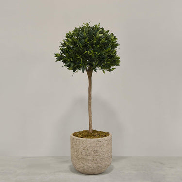 Desginers Collection-Artificial Laurel Tree with Pot-Bloomr