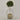Desginers Collection-Artificial Laurel Tree with Pot-Bloomr