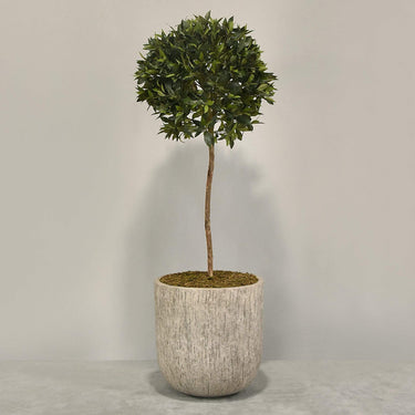 Desginers Collection-Artificial Laurel Tree with Pot-Bloomr