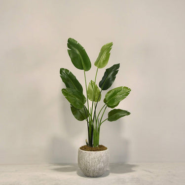 Desginers Collection-Artificial Travelers Palm with Pot-Bloomr