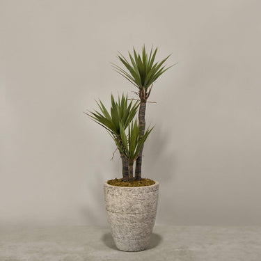 Desginers Collection-Artificial Yucca Plant With Pot-Bloomr