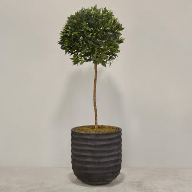 Desginers Collection-Artificial Laurel Tree with Pot-Bloomr