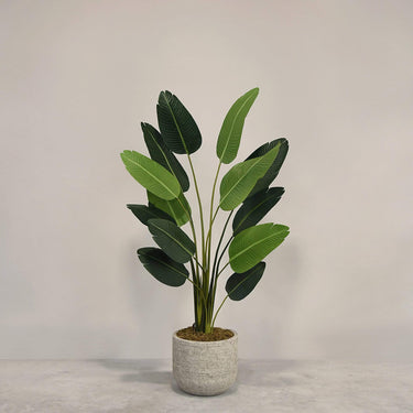Desginers Collection-Artificial Strelitzia With Pot-Bloomr