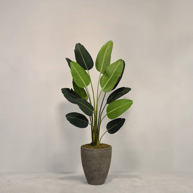 Desginers Collection-Artificial Strelitzia With Pot-Bloomr