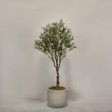 Desginers Collection-Artificial Olive Tree With Pot-Bloomr