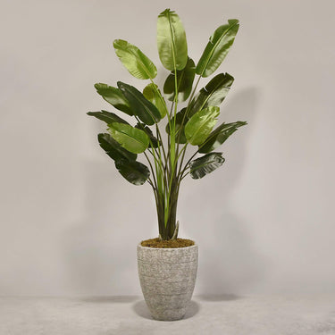 Desginers Collection-Artificial Travelers Palm with Pot-Bloomr